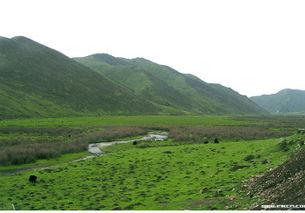 夏河图片,探寻藏地秘境的美丽画卷