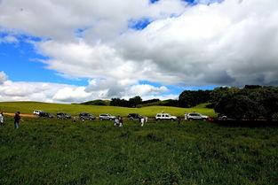 在草原上拍的照片,摄影瞬间留永恒